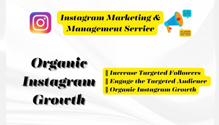 instagram management service