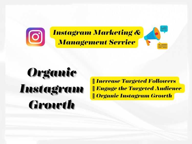 instagram management service