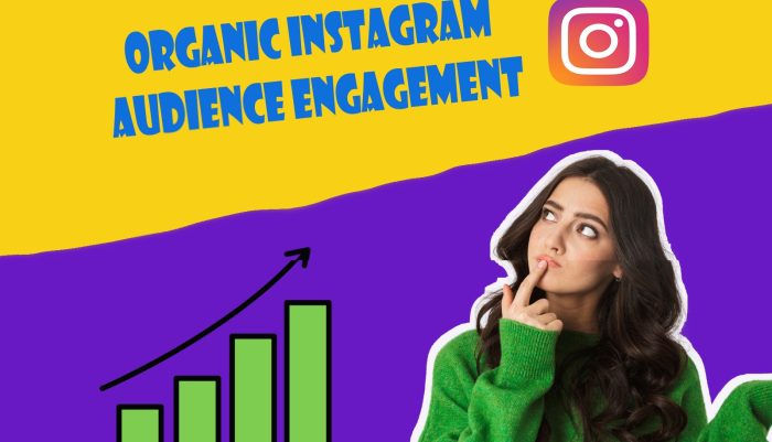 organic instagram growth service