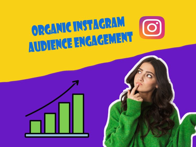 organic instagram growth service