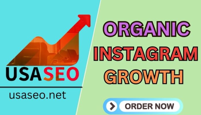 Organic Instagram Growth​