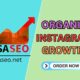 Organic Instagram Growth​ Management - social media marketing