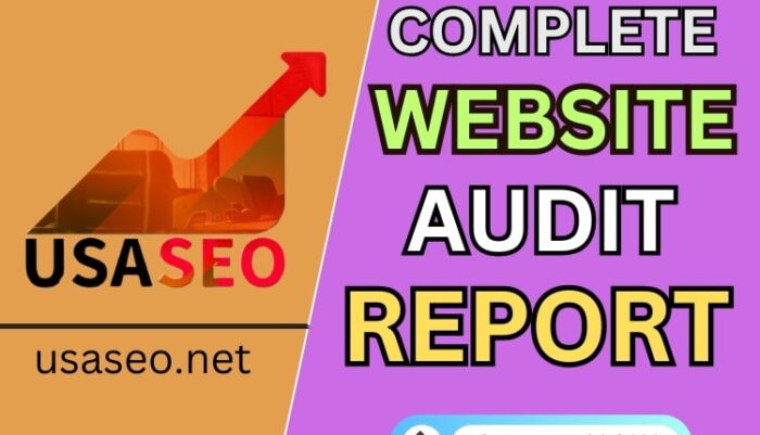 Website Audit