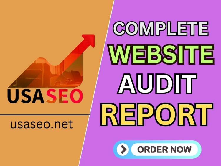 Website Audit