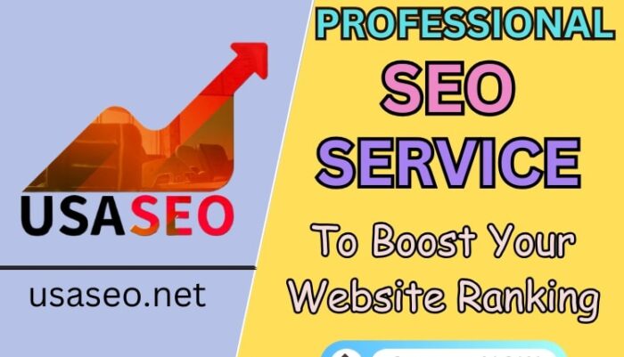 Professional SEO Service