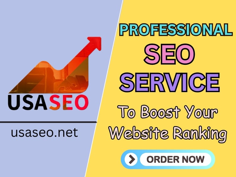 Professional SEO Service