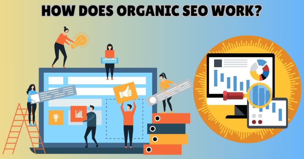 Organic SEO Services Provider