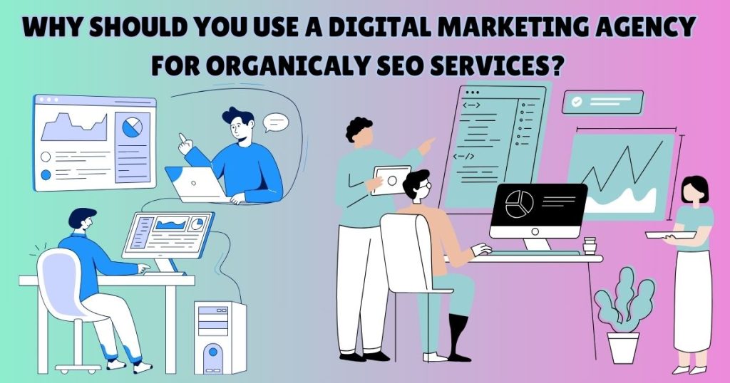 Organic SEO Services Provider