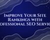 Professional SEO Services