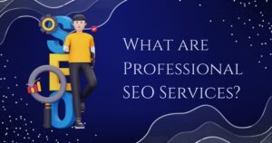 Professional SEO Services