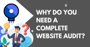 Complete Website Audit