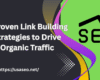 Link Building Strategies to Drive Organic Traffic